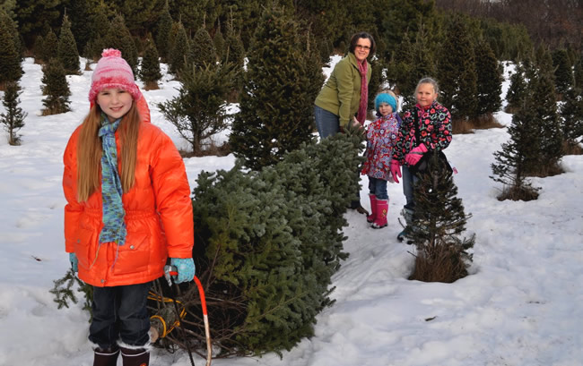 Make your Christmas tree expedition extra fun with an ARR cabin stay.