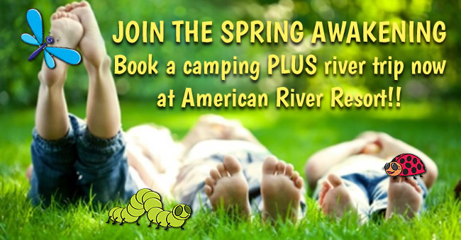 Spring awakening at American River Resort - camping and river trips
