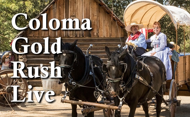 Stay at American River Resort and experience Coloma Gold Rush Live