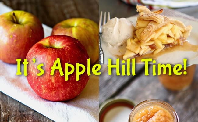 Stay at American River Resort and visit Apple Hill 