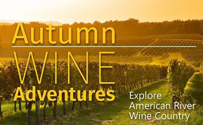 Mountains Wine Adventure - Wine Country surrounding American River
